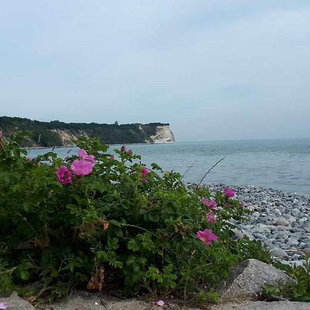 Hering Fewo I Apartment Terrace Wiek auf Rügen Buitenkant foto