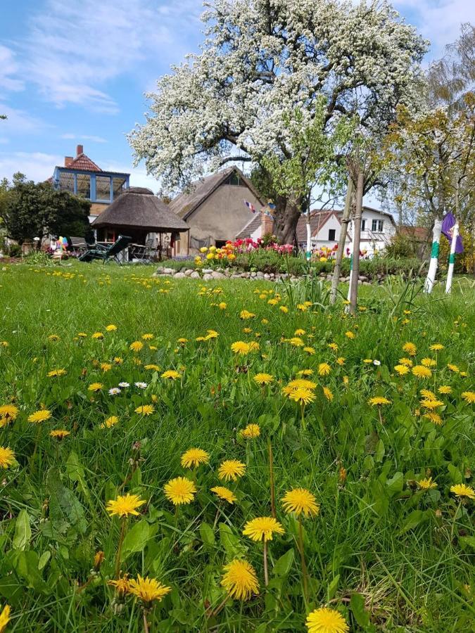 Hering Fewo I Apartment Terrace Wiek auf Rügen Buitenkant foto