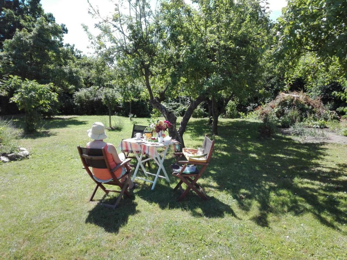 Hering Fewo I Apartment Terrace Wiek auf Rügen Buitenkant foto
